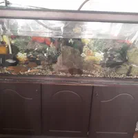 آکواریوم ماهیران 1.5 متری با میز