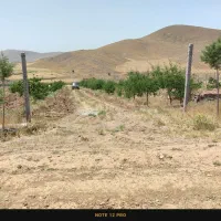 باغ ۱۰ ساله فنس کشی با ۳۰۰ تا نهال و چاه آب