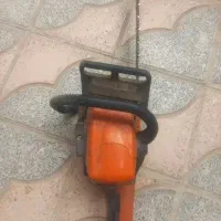 حرس درخت  سر بری تر وخشگ