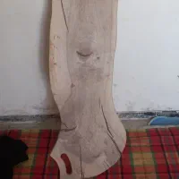 ظروف مارک چینی در حد نو|ظروف سرو و پذیرایی|اصفهان, بهارستان|دیوار
