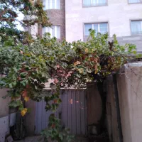 طالقانی جنوبی 140متر دوکله قابل سکونت|فروش خانه و ویلا|کرج, کوی مدرس|دیوار