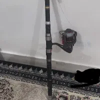 لنسر ماهیگیری