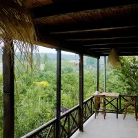 کلبه چوبی نوساز با طرح قدیم با ویوی جنگل