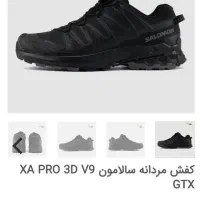 کفش سالامون