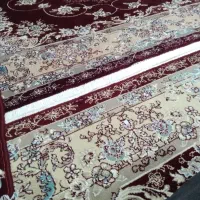 وانت آریسان  امشب مریوان تهران