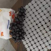 میوه مصنوعی خوشه انگور و ...|صنایع دستی و سایر لوازم تزئینی|تهران, چیتگر شمالی|دیوار