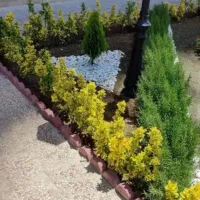 خدمات باغبانی گل کاری تعویض خاک هرس سمپاشی