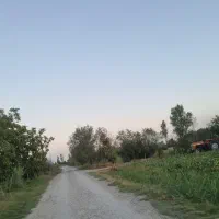زمین زراعی قابل معاوضه با خودرو