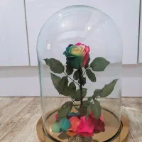 گل مصنوعی زیبا و شیک|گل مصنوعی|چهارباغ, |دیوار