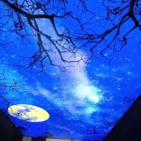 گچ کاری.کاشی.سقف کشسانی.لاین نوری|خدمات پیشه و مهارت|تبریز, |دیوار