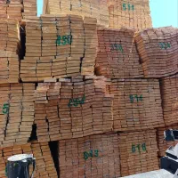 فروش عمده چوب نراد روسی