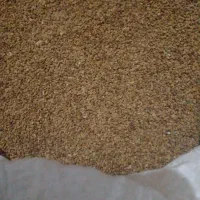 بذر یونجه بسیار عالی|خدمات باغبانی و درختکاری|مرودشت, مسجد رسول‎|دیوار