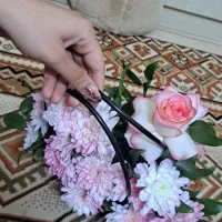 باکس گل