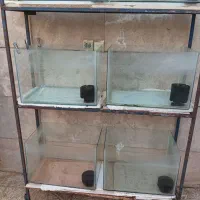 آکواریوم وپایه|ماهی|برخوار, |دیوار