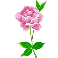 نگین امید/نگین زرین