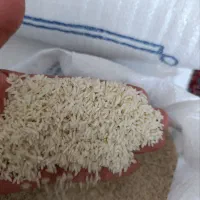 برنج علی کاظمی درجه یک