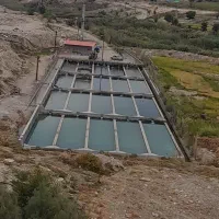 اجاره-مزرعه-پرورش-ماهی-خاویاری