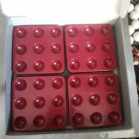 دوز چرخشی|اسباب‌‌بازی|اصفهان, ارغوانیه|دیوار
