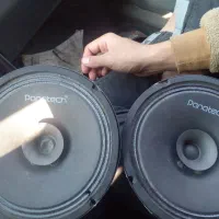 دوعدد میدرنج ۸ پاناتک