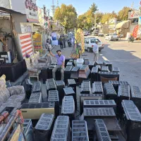 سمساری طهران|عمده‌فروشی|بجنورد, |دیوار