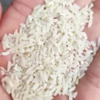 برنج لاشه طارم هاشمی لاریم
