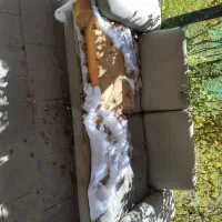 مبل|مبلمان خانگی و میز عسلی|باسمنج, |دیوار