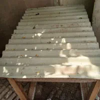 قفس مرغ خروس|لوازم جانبی حیوانات|کرمانشاه, |دیوار