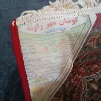 فرش|فرش|اسلام‌‌آباد غرب, |دیوار