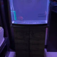 آکواریوم بک سامپ شرکتی با پایه|ماهی|تهران, آسمان|دیوار