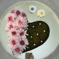 سینی حنابندون