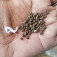 فروش انواع کود و بذر به قیمت عمده|خدمات باغبانی و درختکاری|جیرفت, |دیوار