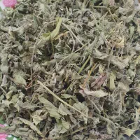 فروش عمده آویشن ، پونه و چای کوهی