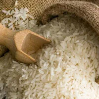 برنج طارم هاشمی کشت جدید امسال|خوردنی و آشامیدنی|تهران, جنت‌آباد مرکزی|دیوار