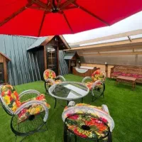 فروش عیدانه چمن‌ مصنوعی فنس رشته‌ای چمنی جنوب
