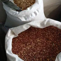 گندم ارزن|لوازم جانبی حیوانات|مشهد, رضاییه|دیوار