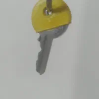 دوعدد کلید ویک فلش گم کردم