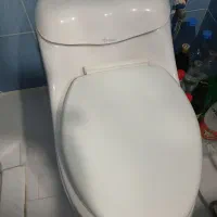 توالت فرنگی طبی چینی کُرد