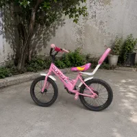 دوچرخه 16 دخترونه