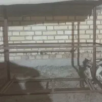 قفسه کولر
