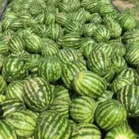 هندوانه درجه یک ودو ..سرحد