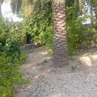 فروش زمین مسکونی در چاهگچی