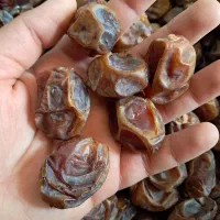 خرمابرحی بزرگ تمیز شده
