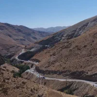 همخونه هستم