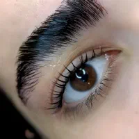 مدل اکستنشن