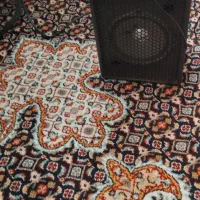 ضبط اکو آمپولی صدا زلزله