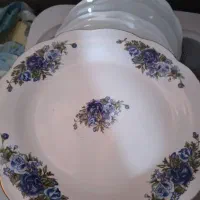 تعدادی بشقاب نو،استفاده نشده|ظروف سرو و پذیرایی|شیراز, شاپورجان|دیوار