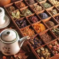 خانم های عزیز  آموزش  ببینید و کسب درآمد کنید .