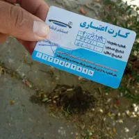 دو عدد کارت استخر