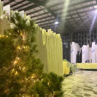 درخت کریسمس طبیعی ارتفاع ۳متر|گل و گیاه طبیعی|اصفهان, باغ زرشک|دیوار