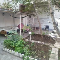 چمن زنی.علفزنی|خدمات باغبانی و درختکاری|رشت, کوی فکوری|دیوار